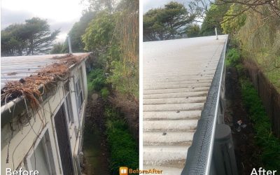 How Often Should You Have Your Gutters Cleaned?