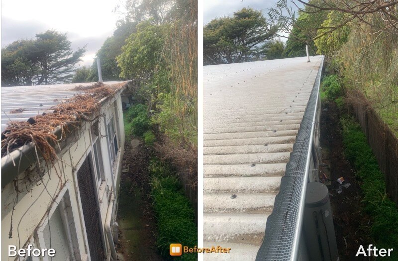 Gutter Cleaning in Silver Spring MD