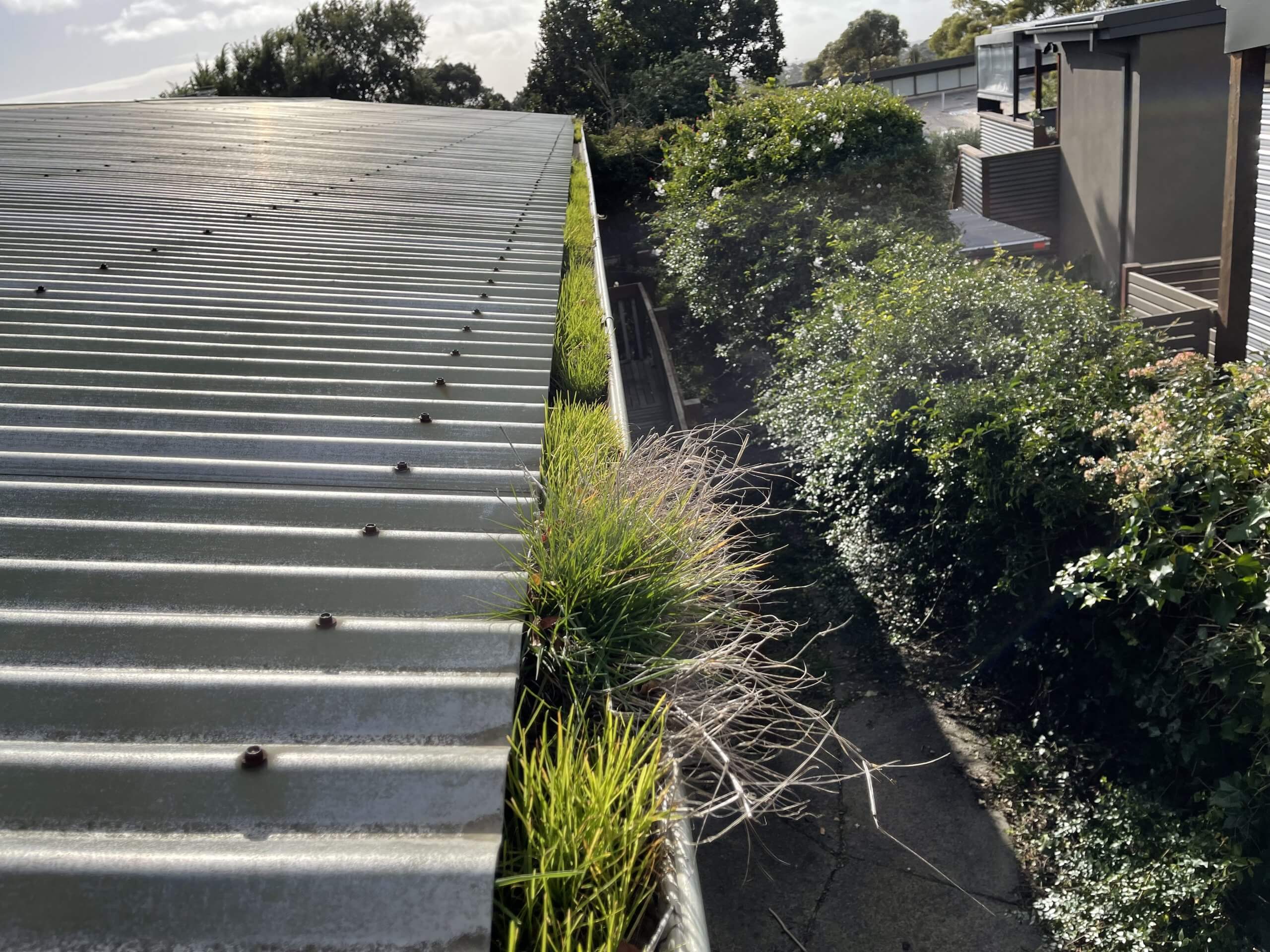 When is the best time of year to clean gutters?
