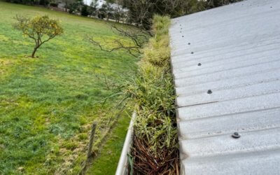 The 3 Main Reasons your gutters are overflowing and the easiest way to fix them…