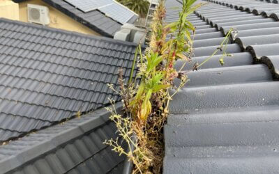 How do Gutters Get Clogged Plus 3 Easy Ways To Unclog Them…