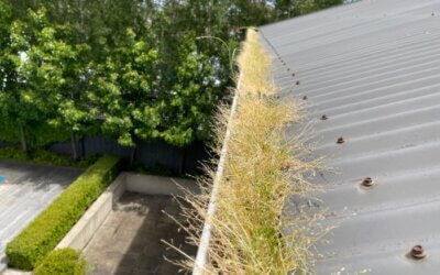 Why Clean Gutters are so Important – All The Shocking Details!!