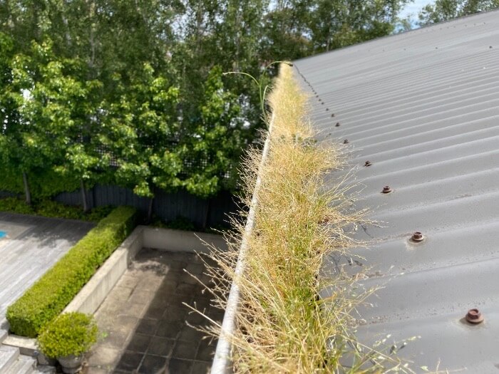 Why clean your gutters