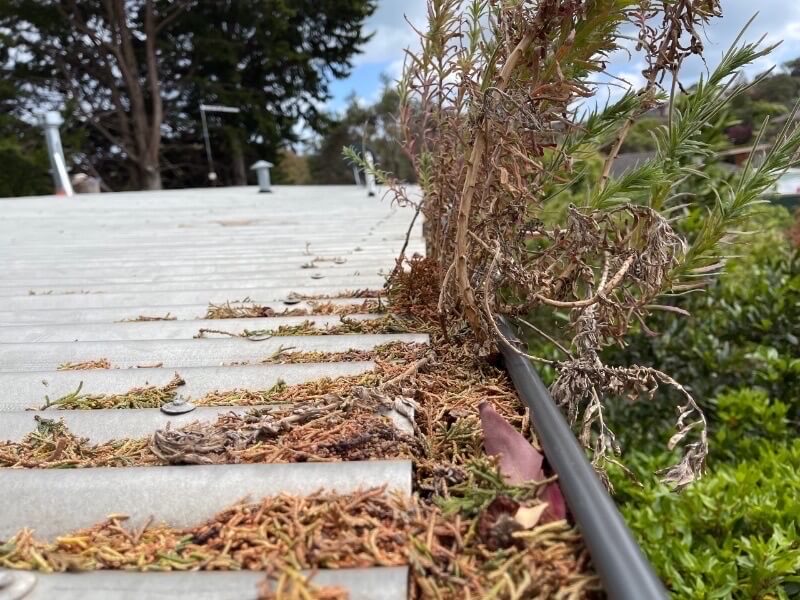 Gutter Cleaning Costs on The Mornington Peninsula