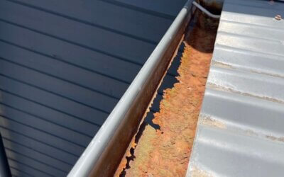 Ex Plumber Reveals, “Why on Earth do my Gutters Drip”???