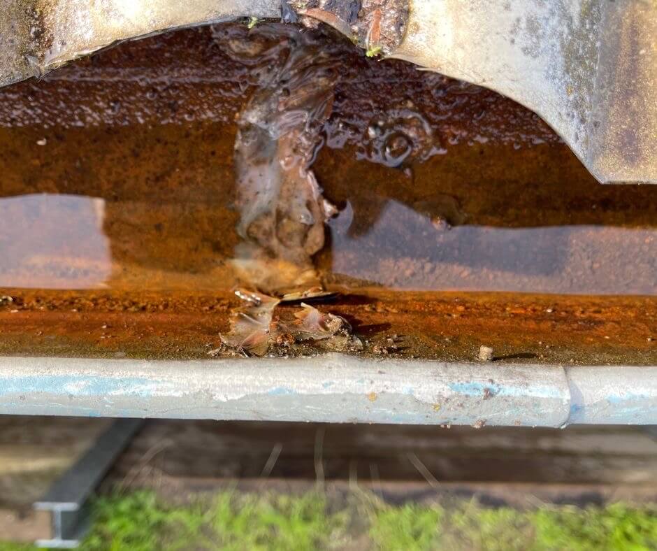 Rust causes gutters to drip
