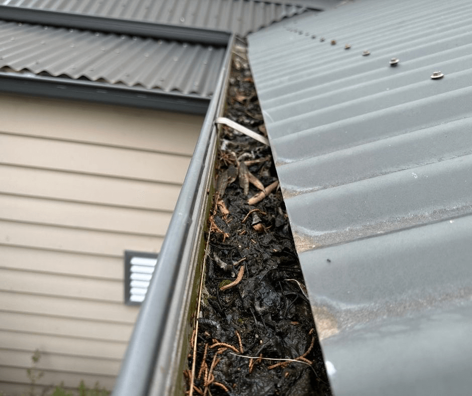 You can clean gutters like this from the ground