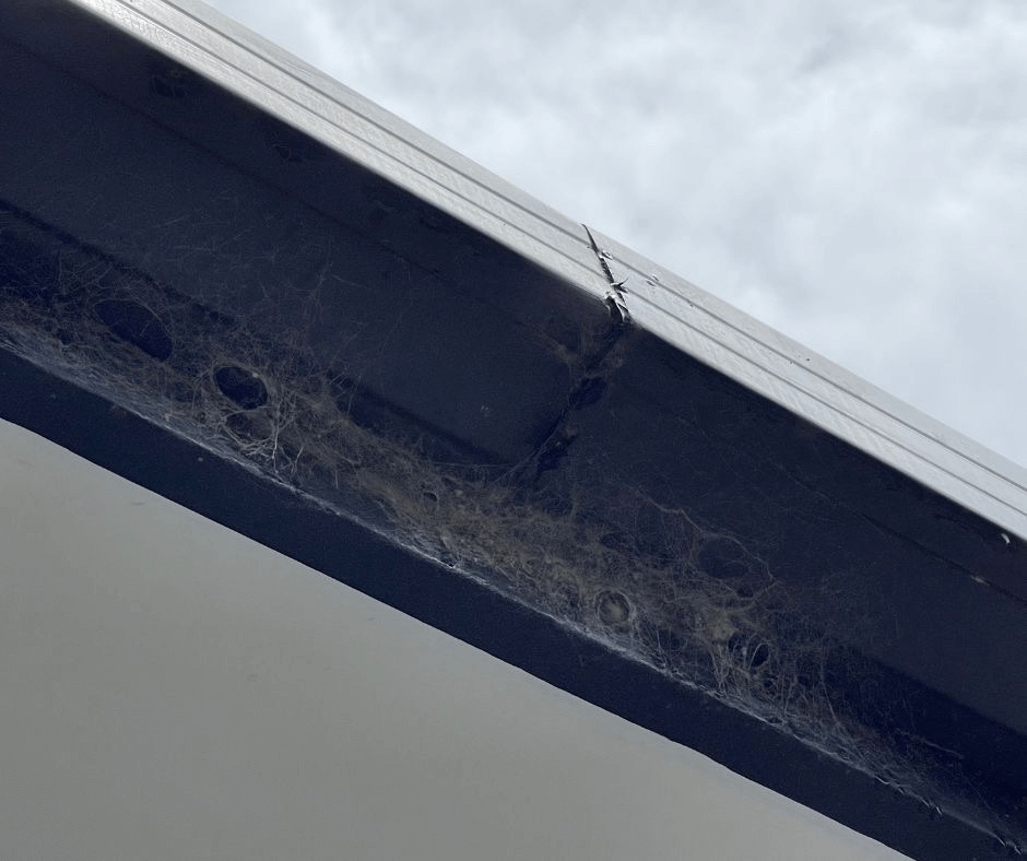 Check gutters for leaking gutter seams