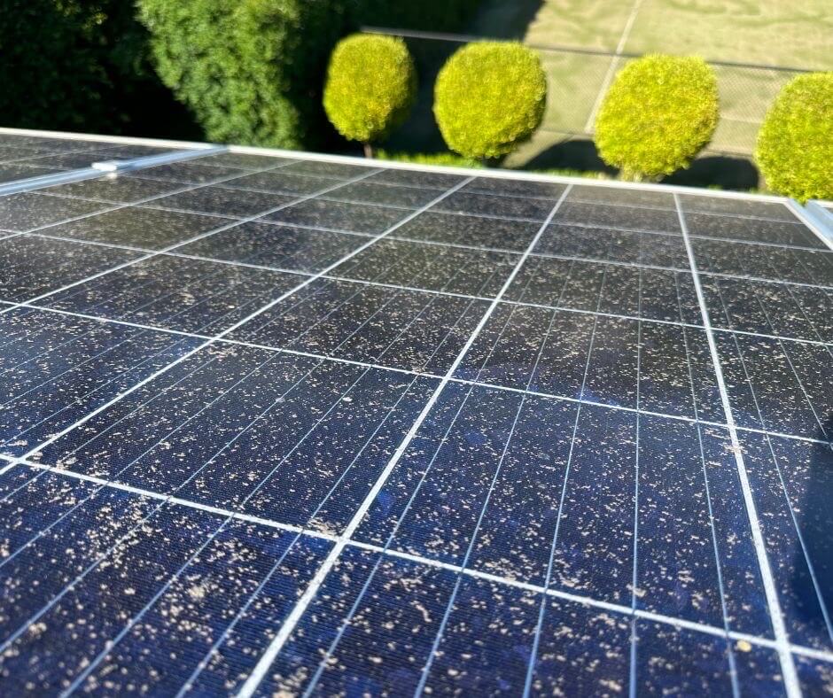 Solar panel cleaner Mornington Peninsula