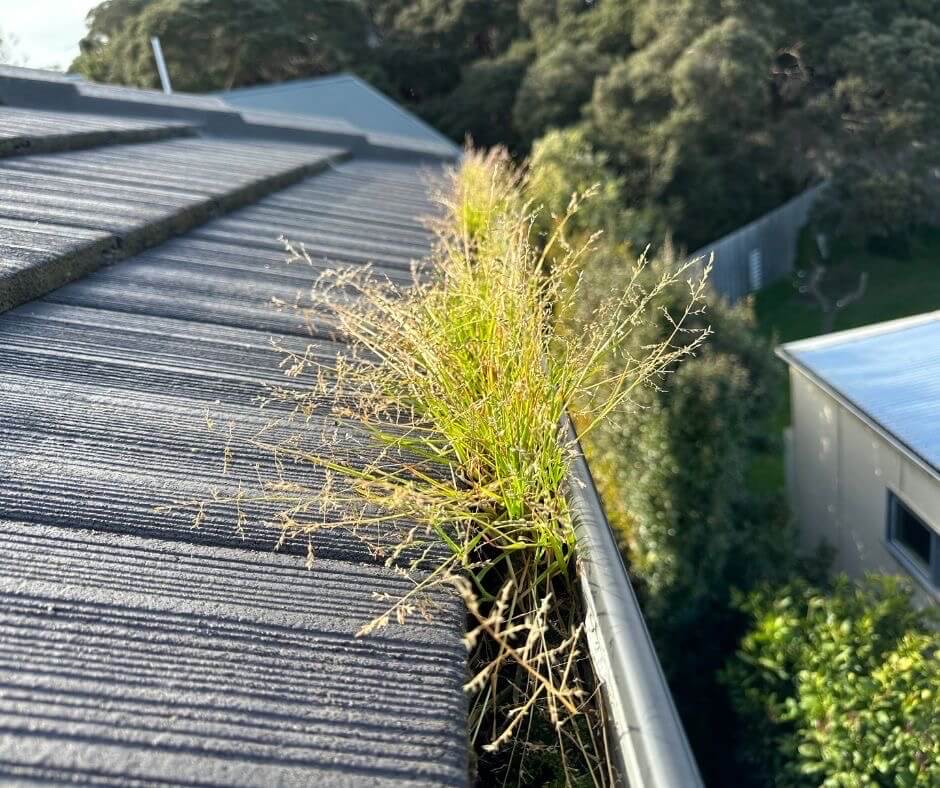 Gutter Cleaning Mornington