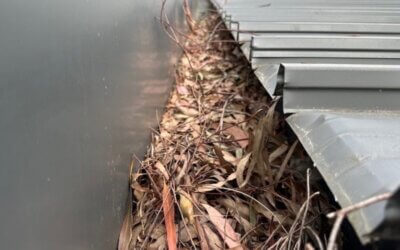 How often should you have your gutters cleaned on the Mornington Peninsula?